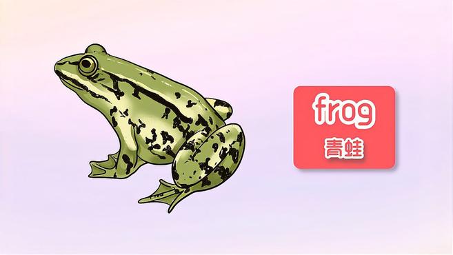 小朋友们,青蛙、鸭子、鹅、马儿这些小动物们用英语怎么读呢?
