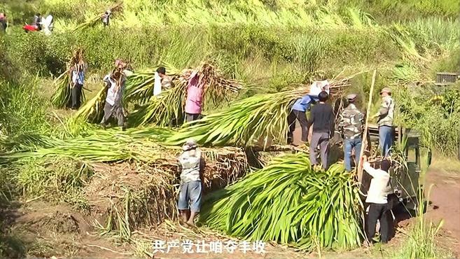 [图]西盟:阿佤新歌献给党,昂首阔步永向前