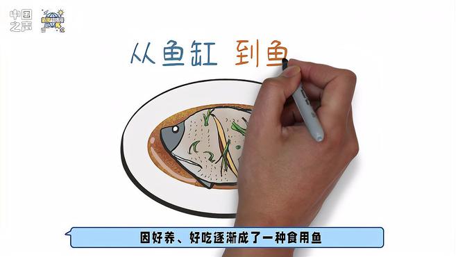 “打遍淡水无敌手”太阳鱼来了 靠吃能否有效控制其数量?