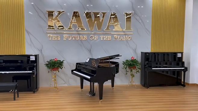 阜阳海卡瓦依钢琴专卖店全新开业 阜阳海知音琴行升级换新