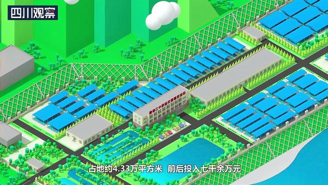 解密杨房沟③雅砻江鱼宝宝:我在大坝有个家