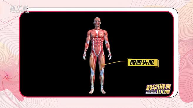 [图]科学健身100期丨跑步后如何进行整理活动