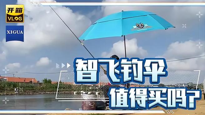 智飞钓鱼伞,钓鱼网红大咖都在使用,不便宜值得购买吗?
