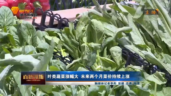 叶类蔬菜涨幅大 未来两个月菜价持续上涨