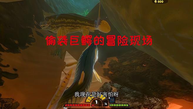 海底大猎杀:一百金币的凶猛鲨鱼,成为云燕的海洋宠物?