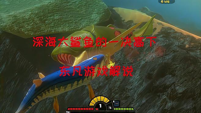 海底大猎杀:东凡的鲨鱼宠物,一百的金币大鲨鱼冒险?