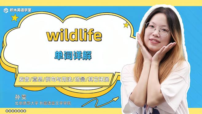 [图]wildlife-单词讲解(发音 意思 例句与用法 场景)