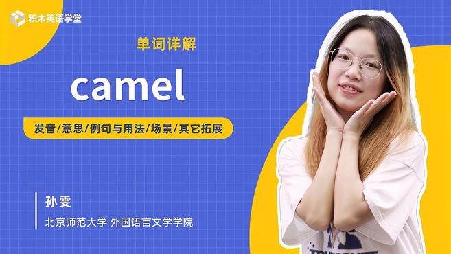 [图]camel-单词讲解(发音 意思 例句与用法 场景)