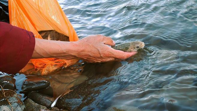 涨知识啦!藏族人风俗禁忌不吃鱼的真正原因!你又知道多少?