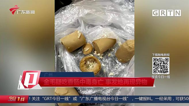 广州:金毛疑吃香肠中毒身亡 事发地再现异物 究竟谁干的?