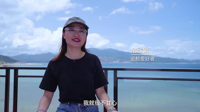 你还记得鲸鱼“小布”吗?它的最新视频来了!