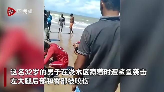 巴西一男子蹲在海滩浅水区遭鲨鱼袭击 大腿和臀部被咬伤
