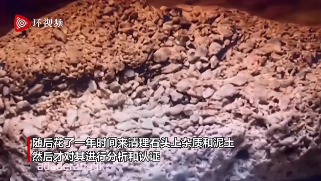 斯里兰卡一居民家后院发现世界最大星光蓝宝石 价值1亿美元