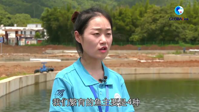 全球连线|中国珠江流域鱼类增殖站助力鱼类资源保护