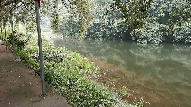 [图]雨中的风景