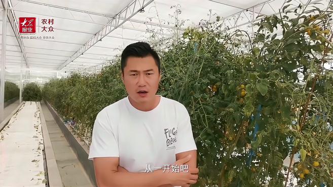 国家级示范社里的“鱼菜共生”示范