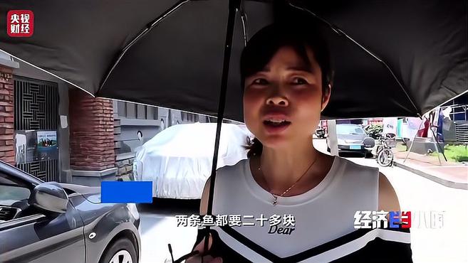 突然,这种鱼价格大涨近20%!采购商奔波400公里进货!啥情况?