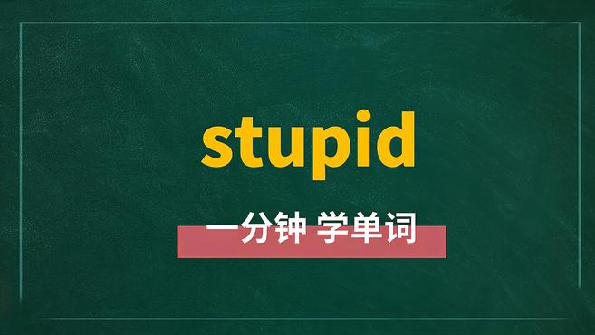 [图]一分钟学英语stupid单词详解