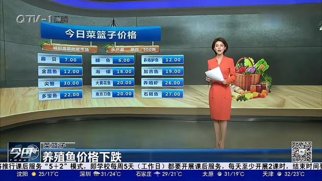 关注青岛菜篮子:冰鲜鱼类上市量稳定充足,价格总体下跌