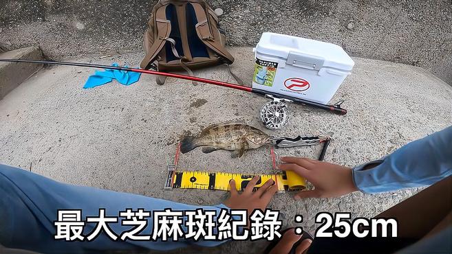 前打钓鱼,渔港适合藏鱼,轻松钓石斑鱼