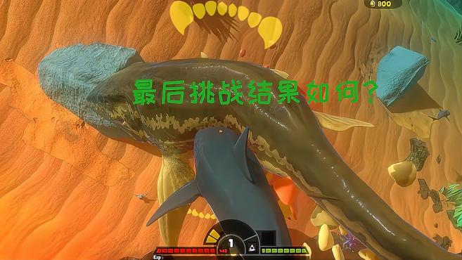 海底大猎杀:小鲨鱼挑战鳄鱼,还没动手就没了?