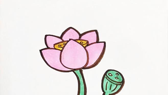 多多学画画 第124集 儿童简笔画 荷花 处暑时节学画高雅的荷花
