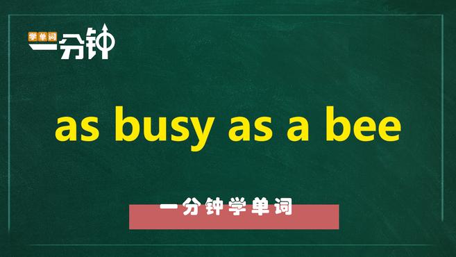 [图]一分钟学英语as busy as a bee单词详解