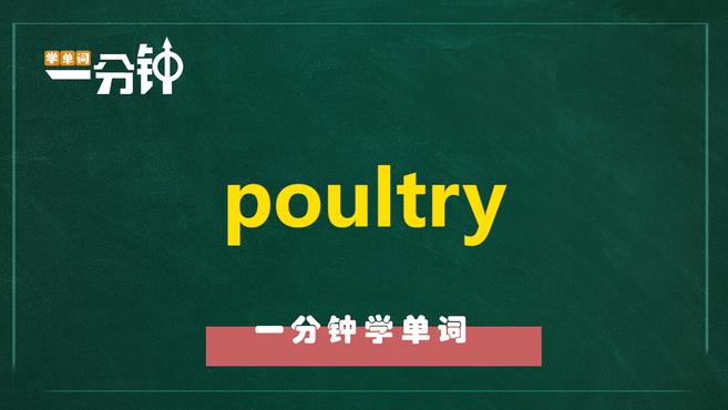 一分钟学英语poultry单词详解