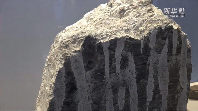 远古发现丨穿越“石”空打开贵州史前海洋“盲盒”,都有啥?