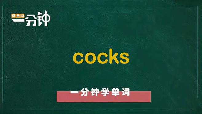 一分钟学英语cocks单词详解