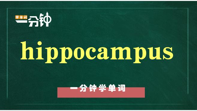 一分钟学英语hippocampus单词详解