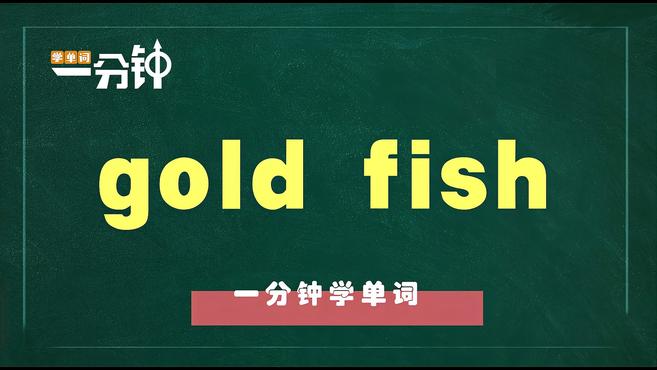 一分钟学英语gold fish单词详解