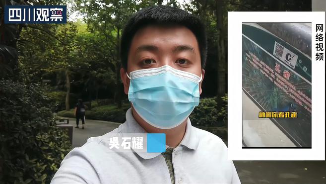 成都动物园孔雀栏里住公鸡?工作人员:这鸡不一般