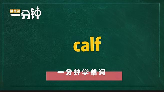 一分钟学英语calf单词详解