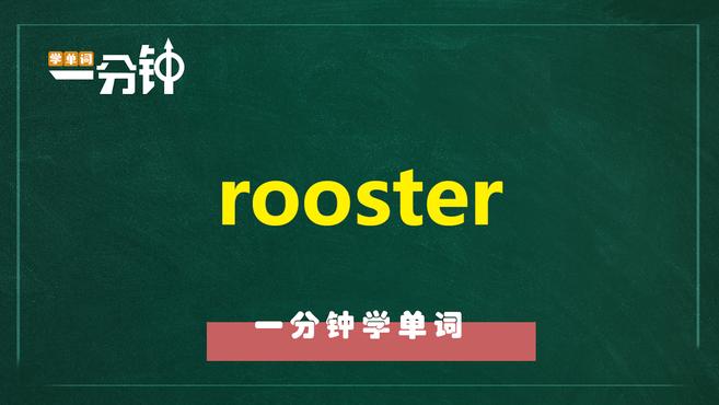 一分钟学英语rooster单词详解