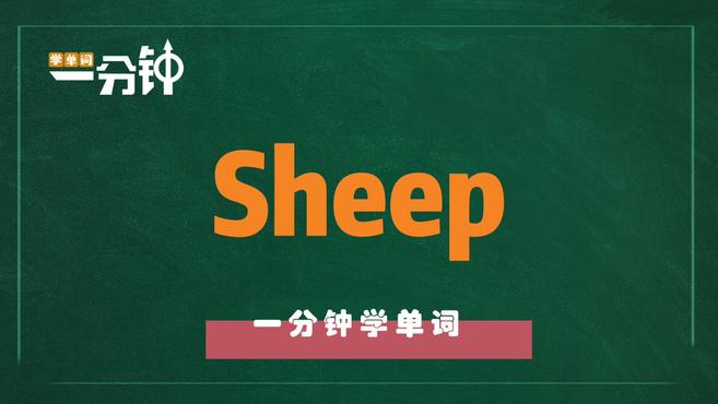 [图]一分钟学英语sheep单词详解