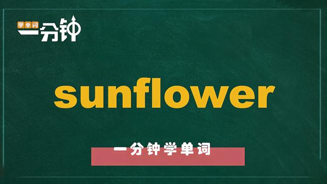 [图]一分钟学英语sunflower单词详解