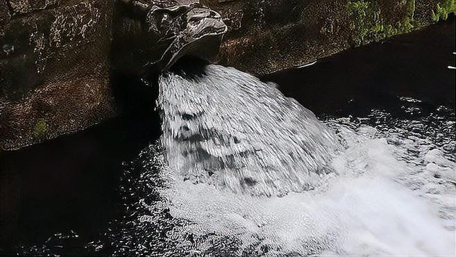 [图]果然视频｜济南黑虎泉水位越过29米，哗哗哗泉水声太美