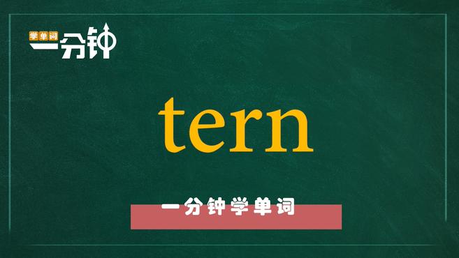 [图]一分钟学英语tern单词详解