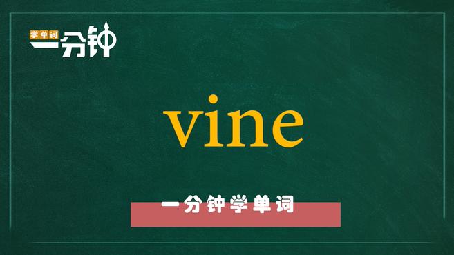 [图]一分钟学英语vine单词详解