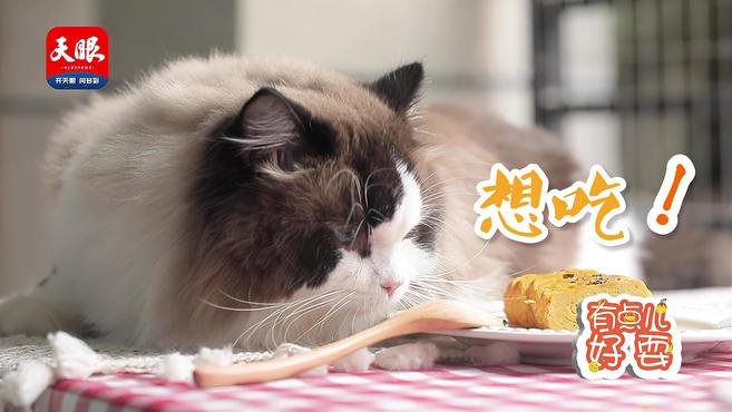 「有点儿好耍」鸡蛋的N+1种吃法:厚蛋烧