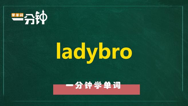 [图]一分钟学英语ladybro单词详解