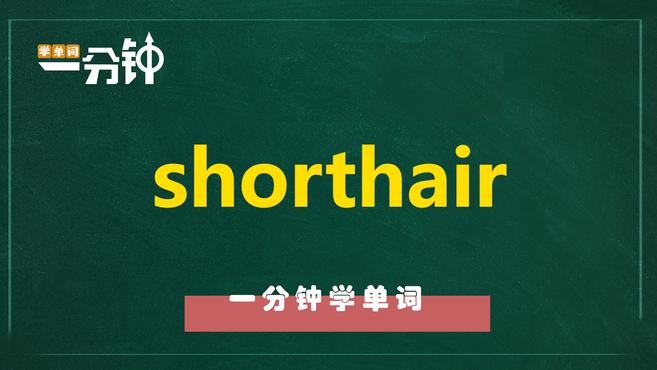 [图]一分钟学英语shorthair单词详解