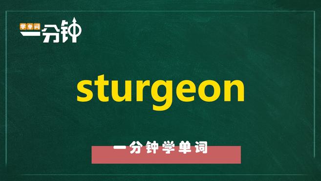 一分钟学英语sturgeon单词详解