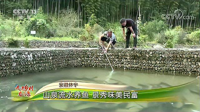 走进乡村看小康|安徽休宁:山泉流水养鱼 景秀味美民富