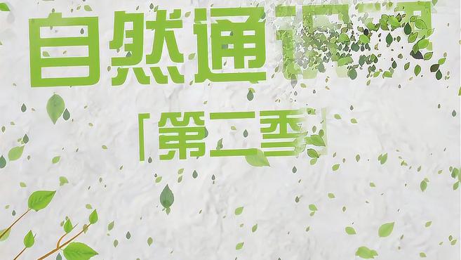 江豚宝宝吃口奶可真不容易!3个月开始添加小鱼“辅食”
