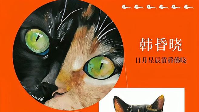 [图]《观复猫》萌哒哒讲述马未都和猫的故事