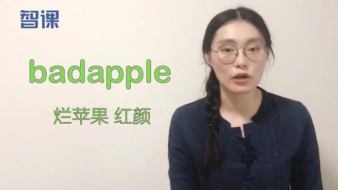 [图]badapple-英文单词讲解