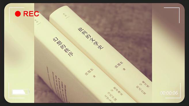 [图]《批判的文学史》,“张旭东作品系列”第二部出版