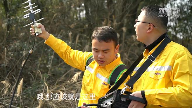 [图]高铁线上的“听风者”